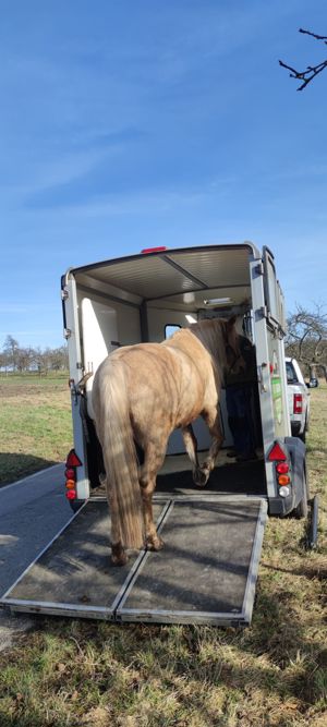 Professionelles Verladetraining Bild 3