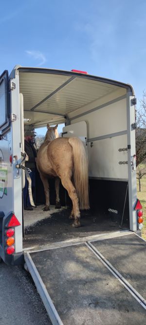 Professionelles Verladetraining Bild 4