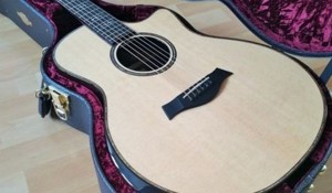 Taylor 916CE - Elektro Akustik Gitarre Bild 5