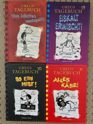 Die wilden Küken diverse Bücher Jugend Buch als Geschenk