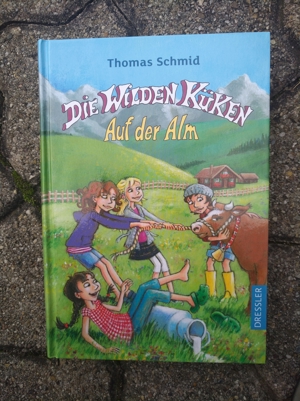 Geschenke Kinderbücher Die 3 !!! Buch diverse Bücher Jugendbuch Scgulbuch Bild 2