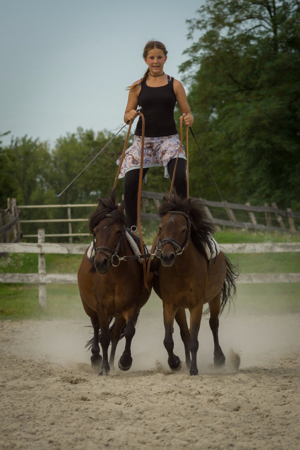 2 Kinderponys suchen Reitbeteiligung ( PsR ) Bild 5