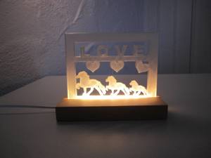 Beleuchteter Rahmen Bild Deko-Licht Islandpferd Isländer Tölter Fee Herzen Wunschname Bild 1