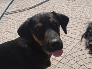 MARIA auf der Suche nach dem großen Glück Bild 2