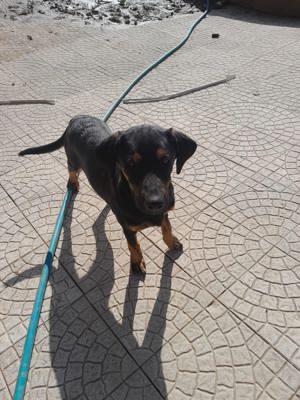 MARIA auf der Suche nach dem großen Glück Bild 5