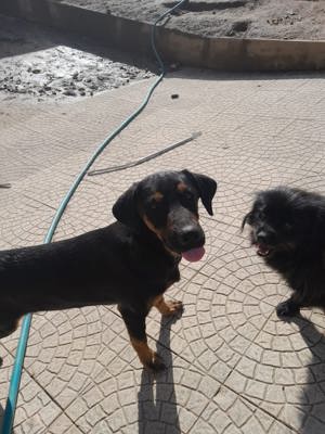 MARIA auf der Suche nach dem großen Glück Bild 6