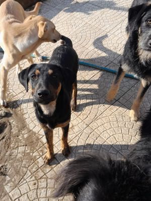 MARIA auf der Suche nach dem großen Glück Bild 4