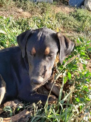 MARIA auf der Suche nach dem großen Glück Bild 3