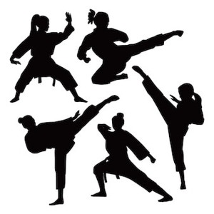 Karate bzw Kampfsport Trainer in gesucht Bild 2