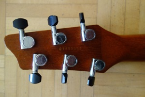 Godin A6 Elektro Akustik-Gitarre Made in Canada Bild 6
