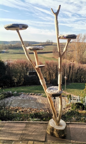 Kratzbaum Naturholz neu