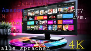 Fernseher TV