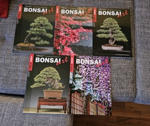 Bonsai Art