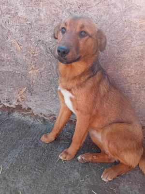 Paula sucht ihre Familie Bild 3