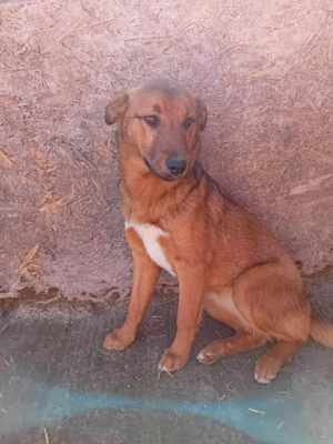 Paula sucht ihre Familie Bild 5