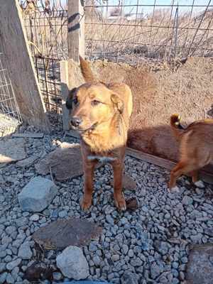 Paula sucht ihre Familie Bild 4