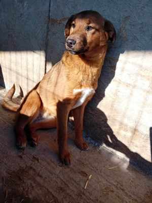 Paula sucht ihre Familie Bild 6