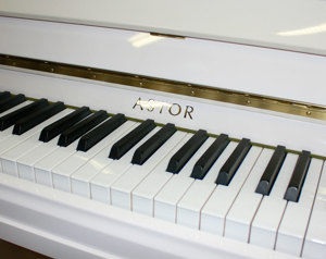 Klavier Astor P-20 weiß poliert, Baujahr 2003, 5 Jahre Garantie Bild 3