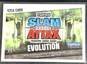 Topps Slam Attax Evolution 2009 WWE Tag Team Championship Bild 2