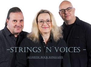 Akustik-Trio "Strings N Voices" Bild 2