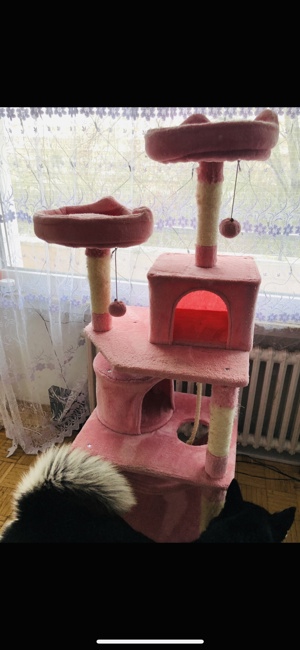Kratzbaum für Katzen rosa Bild 1