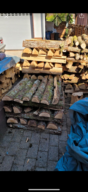 Brennholz Eiche Buche