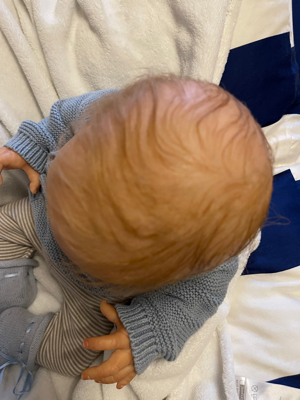 Reborn Hani mit Zertifikat lebensechte Puppe Baby original Bild 3