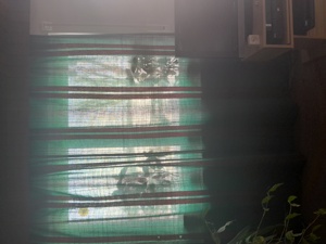 3 dicke, grüne Retro-Vorhänge Bild 3