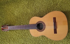 Gitarre, Guitarres de Artisania. Serie 1900, Model Torres Bild 1
