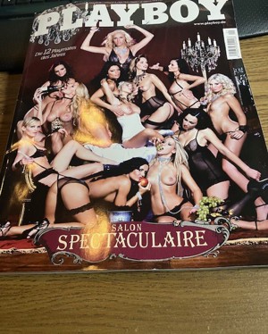 Playboy Die 12 PLAYMATES des Jahres      