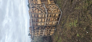 Brennholz zu verkaufen Bild 2