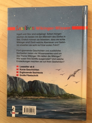 Leselöwen Wikinger Wissen Bild 5