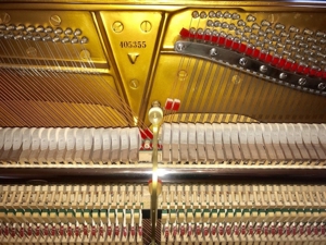 Steinway&Sons Klavier-Flügel Mod-V125 Tadelloser Zustand Bild 5