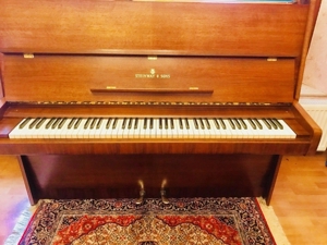 Steinway&Sons Klavier-Flügel Mod-V125 Tadelloser Zustand Bild 8