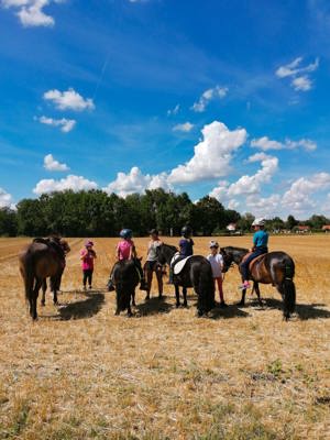 Reiterferien, Reitkurs, Abenteuertage, Pferde in den Ferien  Bild 2