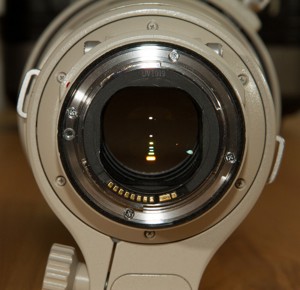 Canon EF 300 mm  2,8 L IS USM Bild 7