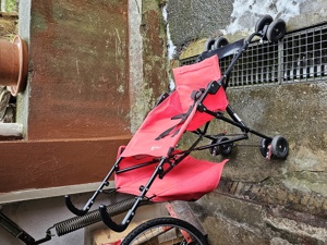 Kinderbuggy  Bild 2