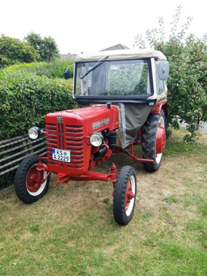 oldtimer traktor IHC D320 Farmall Bild 6