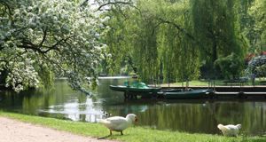 Freundin für Freizeitaktivitäten gesucht