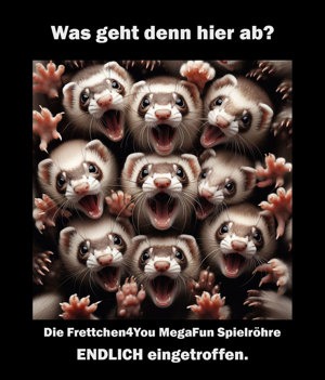 Frettchen Ernährung Ratgeber als PDF Download Bild 3