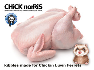 Frettchen Ernährung Ratgeber als PDF Download Bild 2