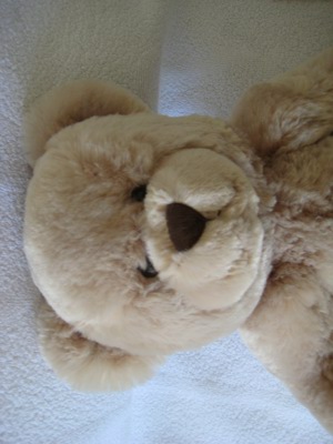 Flauschiger Teddybär Bild 3