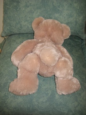 Flauschiger Teddybär Bild 2