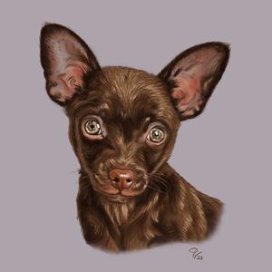 Besonderheit: Hundeportraits   Tierportraits ab Foto im Miniformat Bild 1