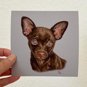 Besonderheit: Hundeportraits   Tierportraits ab Foto im Miniformat Bild 2