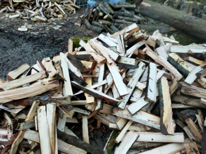 Brennholz frisch, Buche alle Größen 