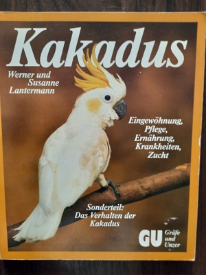 Zucht und Pflege Bild 4