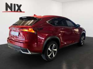Lexus NX 300h E-FOUR Luxury Line 360°KAMERA NAVI SHZ LED KLIMA Bild 4
