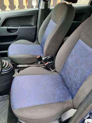 Ford Fiesta BAJA1 Bild 3