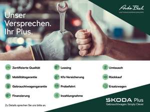 Skoda Karoq Sportline 2.0 TDI 110 kW 4x4 DSG Bild 3
